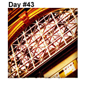 Day Forty-Three: Seeing Stars!